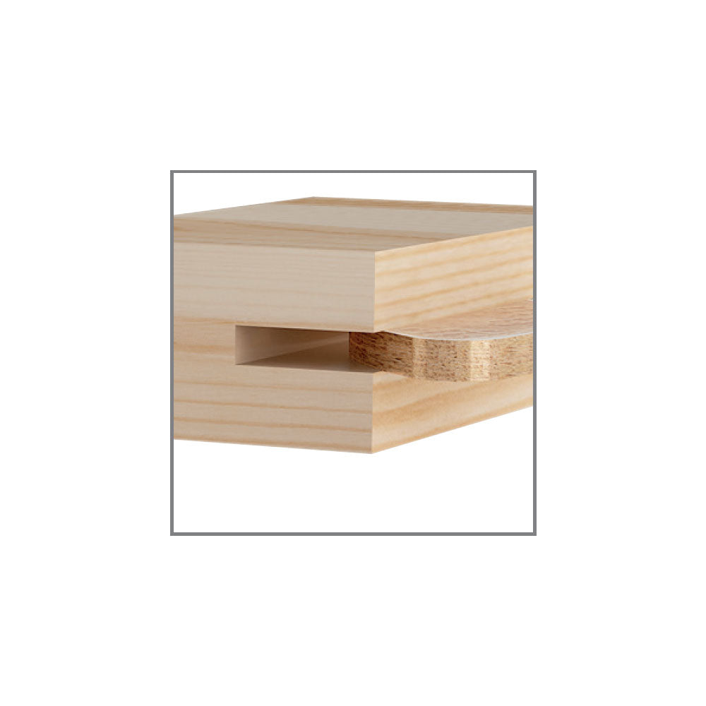 Lamellofräser HM 100mm x 3,96mm x 22mm Z6